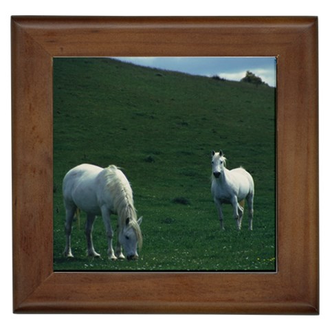 Two White Horses 0002 Framed Tile from ArtsNow.com Front