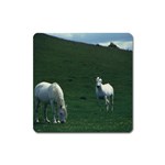 Two White Horses 0002 Magnet (Square)