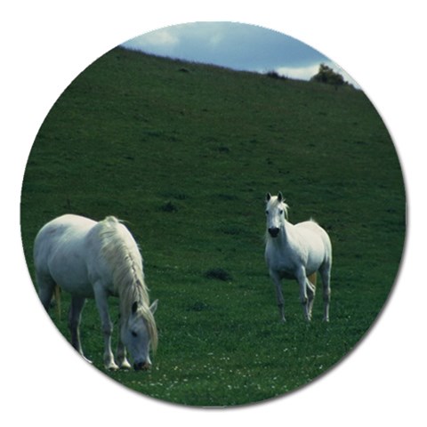 Two White Horses 0002 Magnet 5  (Round) from ArtsNow.com Front