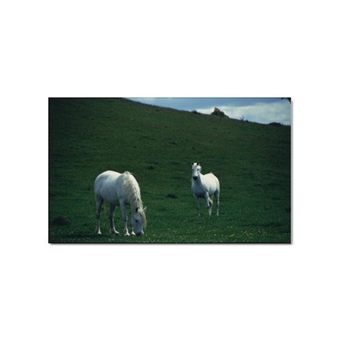 Two White Horses 0002 Sticker Rectangular (10 pack) from ArtsNow.com Front