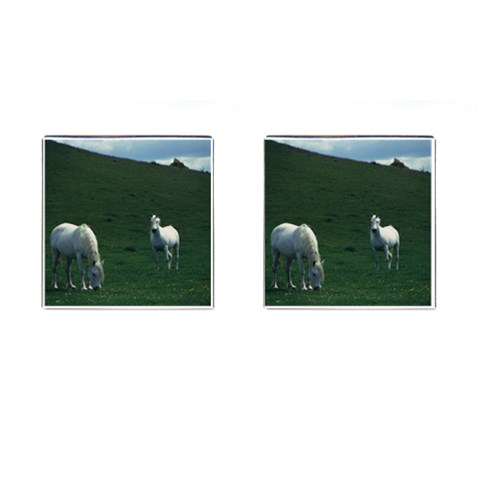 Two White Horses 0002 Cufflinks (Square) from ArtsNow.com Front(Pair)