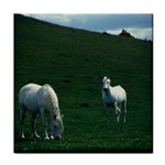 Two White Horses 0002 Face Towel