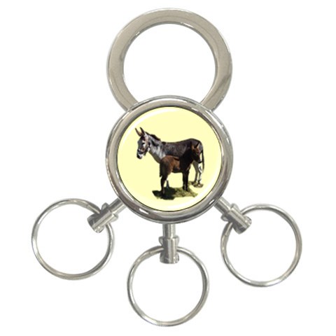 Jennyfoal 3 Front