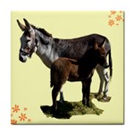 Jennyfoal Tile Coaster