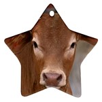 Brown Cow  0003 Ornament (Star)