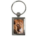 Lion 0006 Key Chain (Rectangle)