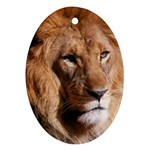Lion 0006 Oval Ornament (Two Sides)
