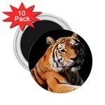 Tiger 0007 2.25  Magnet (10 pack)