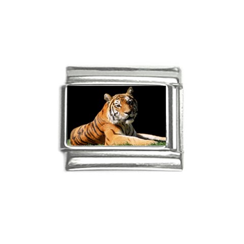 Tiger 0007 Italian Charm (9mm) from ArtsNow.com Front