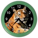 Tiger 0007 Color Wall Clock