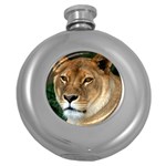 Lioness 0009 Hip Flask (5 oz)