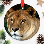 Lioness 0009 Round Ornament (Two Sides)