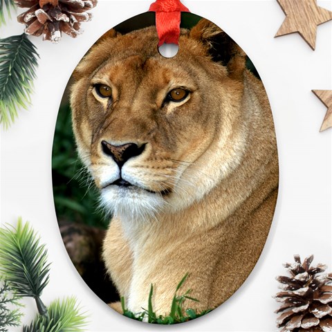 Lioness 0009 Oval Ornament (Two Sides) from ArtsNow.com Front