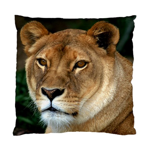 Lioness 0009 Cushion Case (One Side) from ArtsNow.com Front
