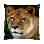 Lioness 0009 Cushion Case (One Side)