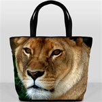 Lioness 0009 Bucket Bag