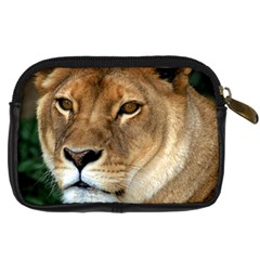 Lioness 0009 Digital Camera Leather Case from ArtsNow.com Back