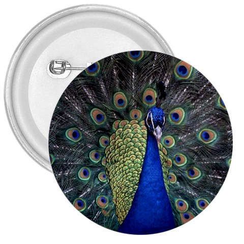 Peocock 0010 3  Button from ArtsNow.com Front
