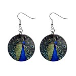 Peocock 0010 1  Button Earrings