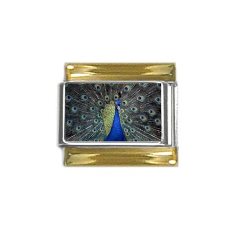 Peocock 0010 Gold Trim Italian Charm (9mm) from ArtsNow.com Front