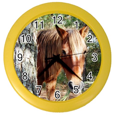 WILD HORSE Color Wall Clock from ArtsNow.com Front