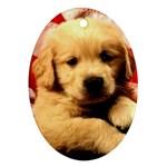 patriotic golden retriever puppy Oval Ornament (Two Sides)