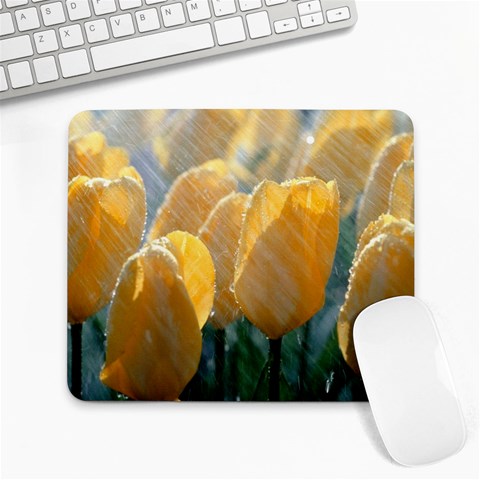 from ArtsNow.com Front