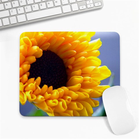 from ArtsNow.com Front