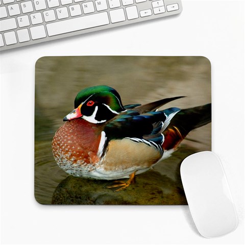from ArtsNow.com Front