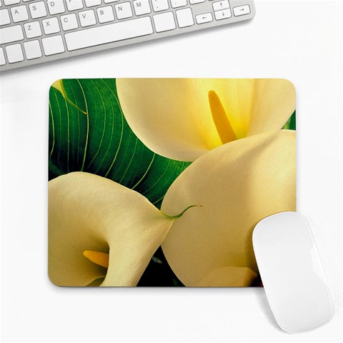 from ArtsNow.com Front