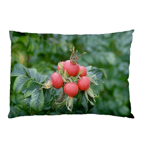 from ArtsNow.com 26.62 x18.9  Pillow Case