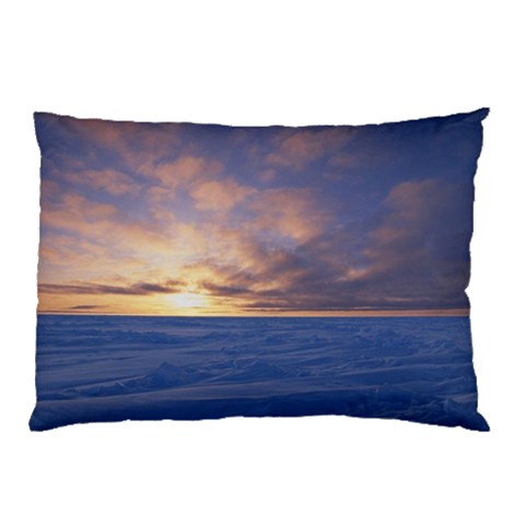 from ArtsNow.com 26.62 x18.9  Pillow Case