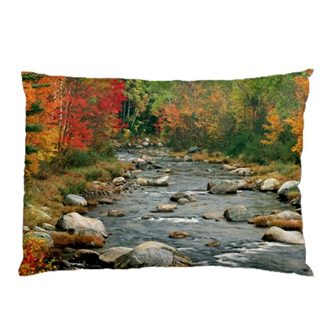 from ArtsNow.com 26.62 x18.9  Pillow Case