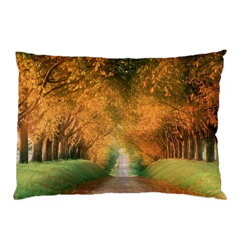 from ArtsNow.com 26.62 x18.9  Pillow Case