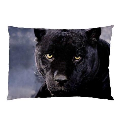 from ArtsNow.com 26.62 x18.9  Pillow Case