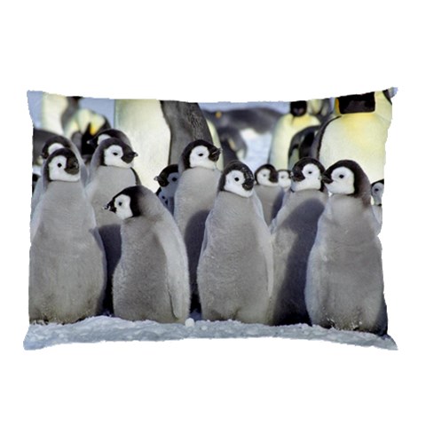 from ArtsNow.com 26.62 x18.9  Pillow Case