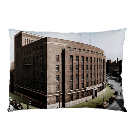 from ArtsNow.com 26.62 x18.9  Pillow Case