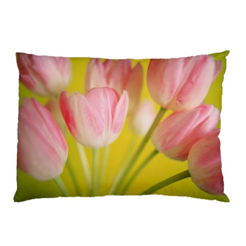 from ArtsNow.com 26.62 x18.9  Pillow Case