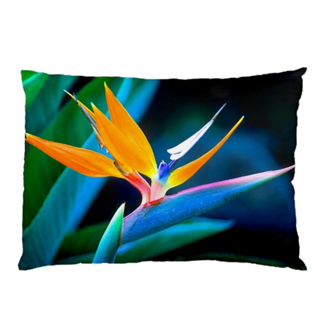 from ArtsNow.com 26.62 x18.9  Pillow Case