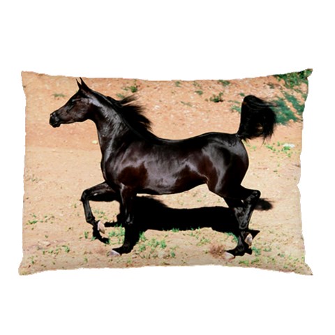 from ArtsNow.com 26.62 x18.9  Pillow Case