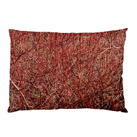 from ArtsNow.com 26.62 x18.9  Pillow Case
