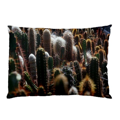 from ArtsNow.com 26.62 x18.9  Pillow Case