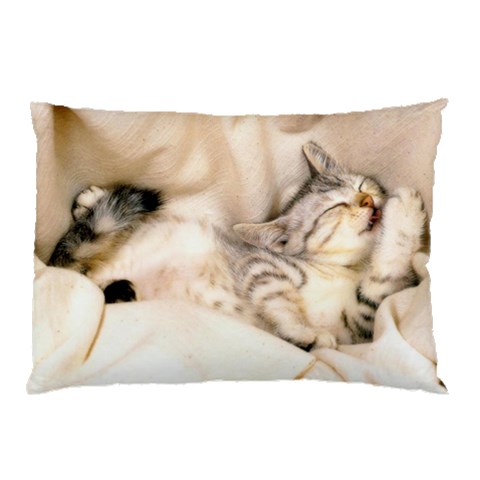 from ArtsNow.com 26.62 x18.9  Pillow Case