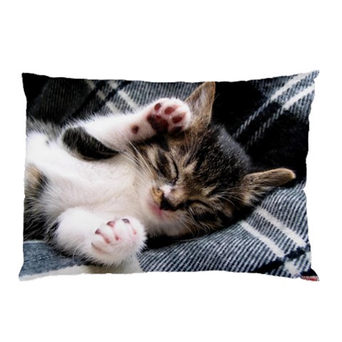 from ArtsNow.com 26.62 x18.9  Pillow Case