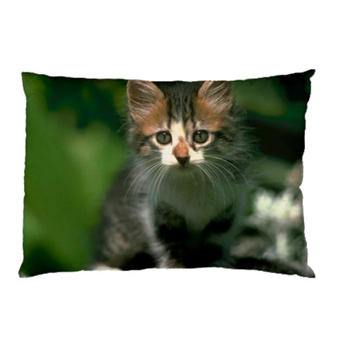 from ArtsNow.com 26.62 x18.9  Pillow Case