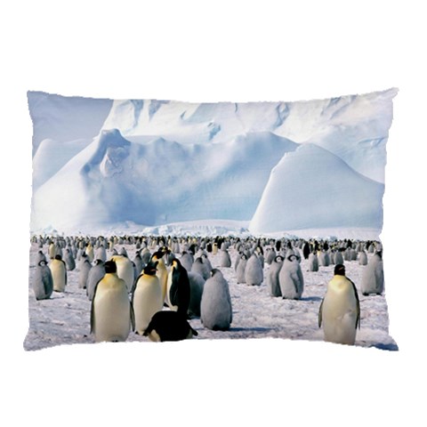 from ArtsNow.com 26.62 x18.9  Pillow Case
