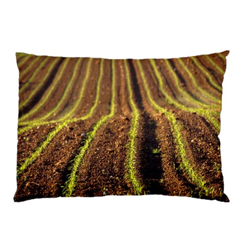 from ArtsNow.com 26.62 x18.9  Pillow Case