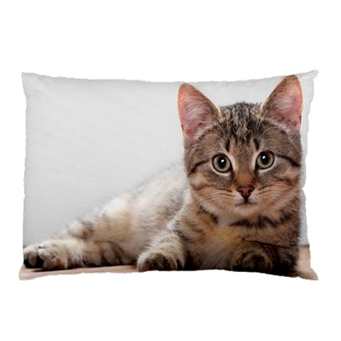 from ArtsNow.com 26.62 x18.9  Pillow Case