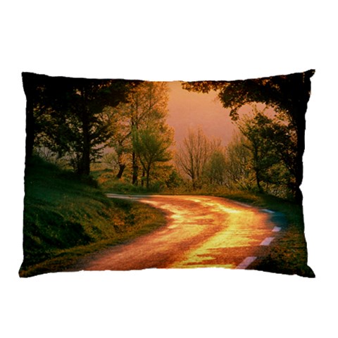from ArtsNow.com 26.62 x18.9  Pillow Case