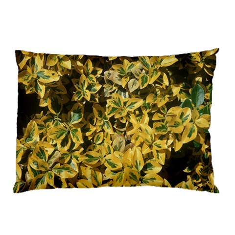 from ArtsNow.com 26.62 x18.9  Pillow Case